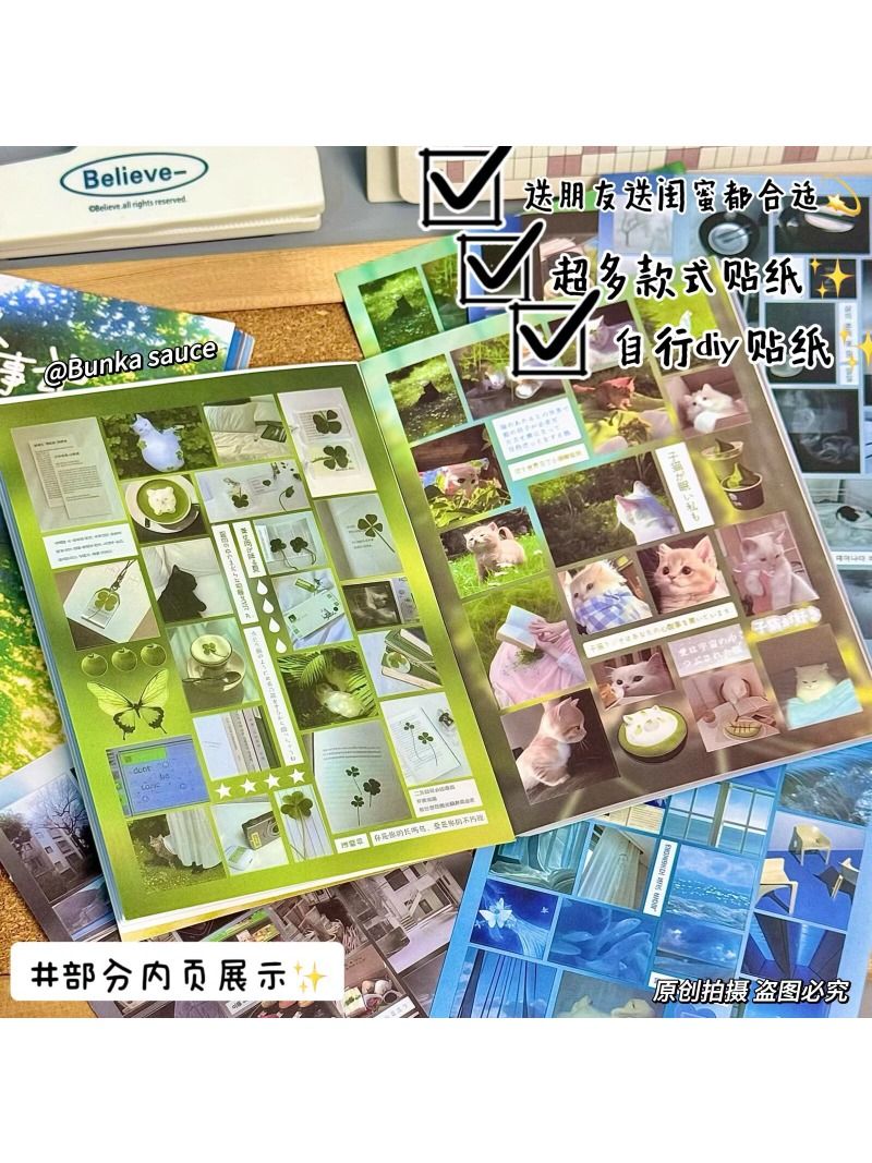 Early Spring Diary Ins Style Die Cut Sticker Book Set with Tweezers & Box